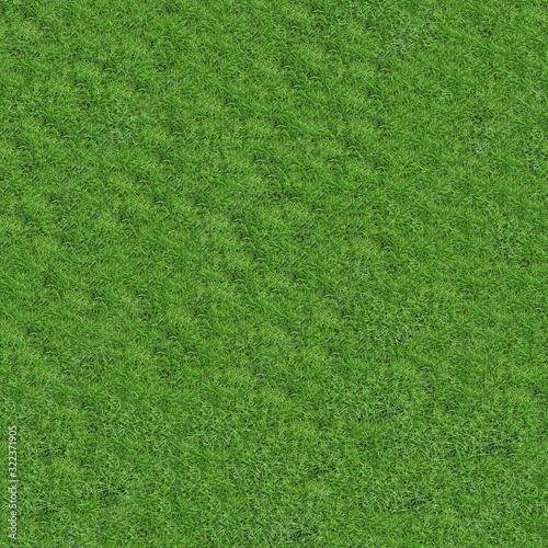 Seamless texture of lawn grass