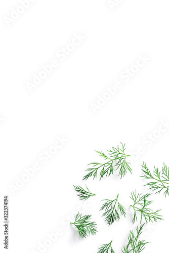 top view of fresh organic dill from the garden isolated on a white background  