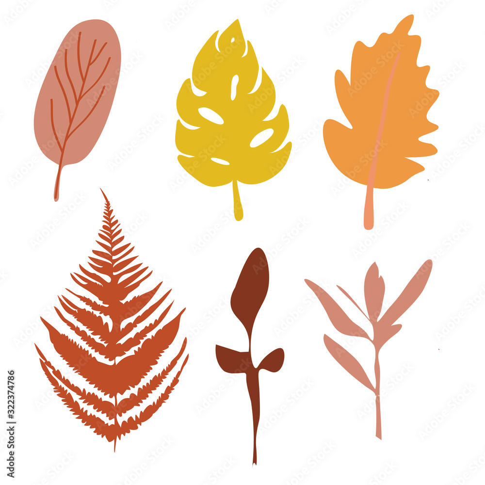 set of autumn leaves set of autumn leaves