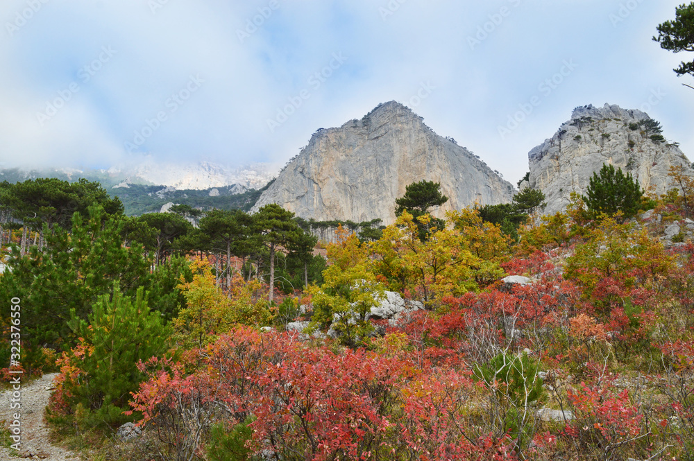 Mountain Shaan-kaya, the city of Alupka, Crimea. A very beautiful autumn landscape: forest, mountains, clouds. For cards, calendars, design Autumn forest