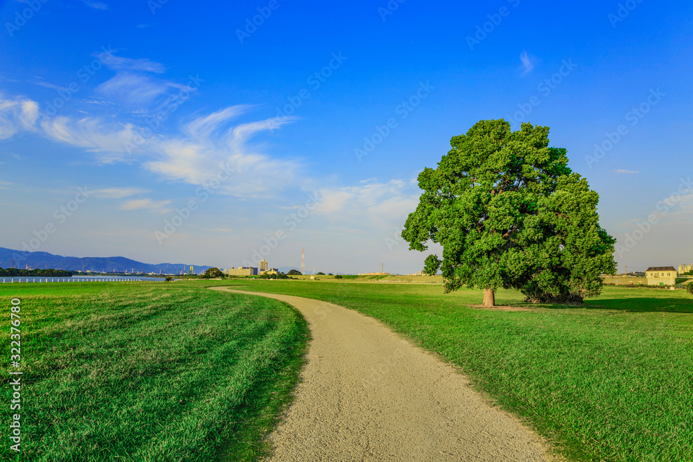 Obraz premium 夏の河川公園