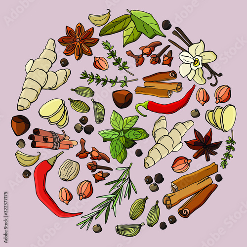   Set of spices and herbs in a circle. Ginger, basil, chili, nuts, rosemary, cardamom, cloves, cinnamon, anise star, garlic, bay leaf, vanilla. Cartoon style. Stock illustration.