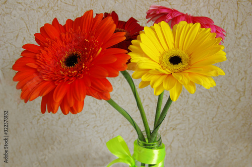 Gerbera flowers in transparent vase view from above