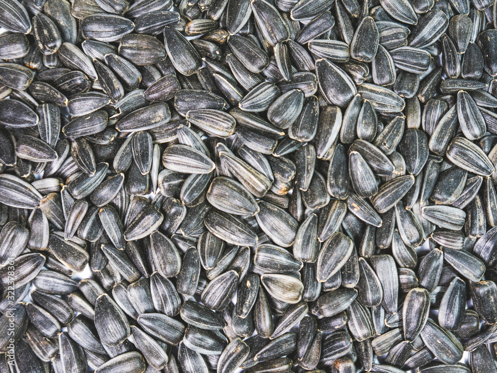 Sunflower seeds. The view from above Sunflower seeds. The view from above