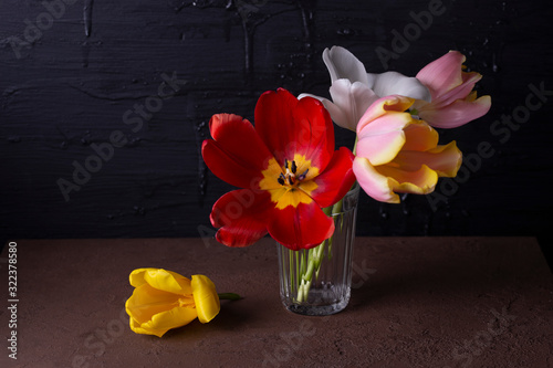 still life with tulips