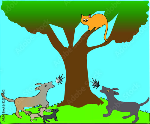 animal in the park . cat and dog life , natural behaviour.
