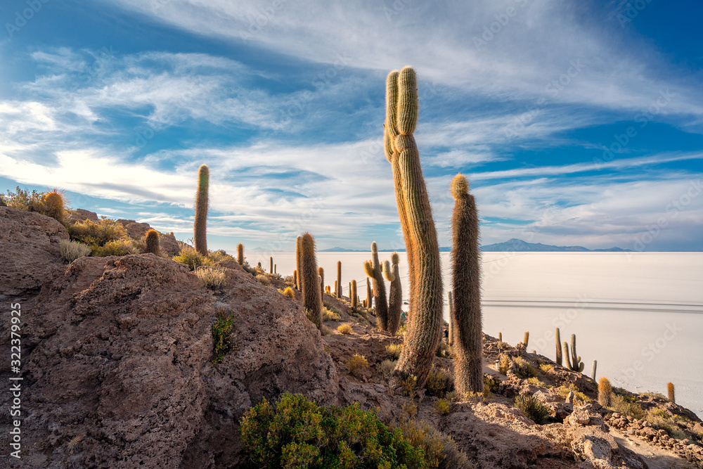 Uyuni salt flat, Bolivia