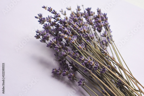  dried lavender on a white background