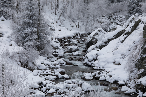stream in the coniferous forest in the mountains in winter