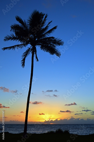 Fototapeta Naklejka Na Ścianę i Meble -  Sunrise in the Tropics