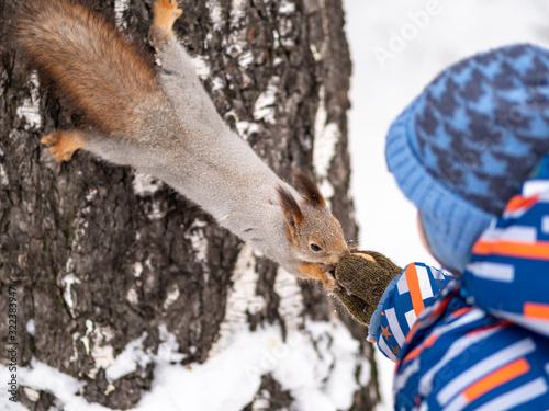 A little child in winter feeds a squirrel with a nut.
