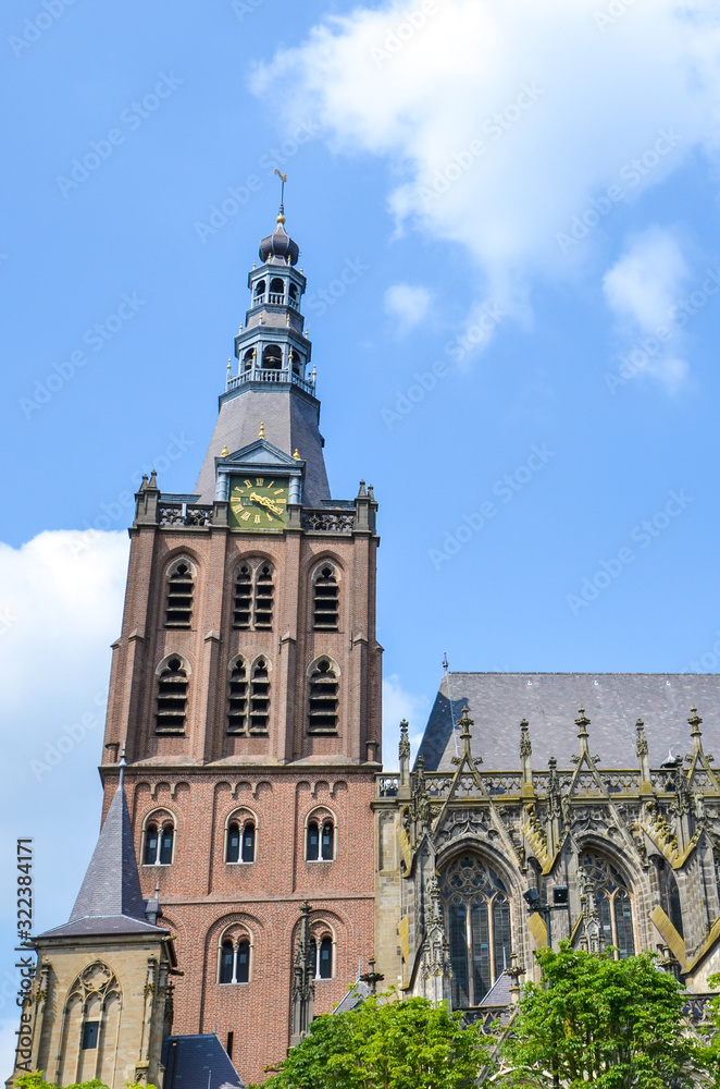 Obraz premium St. John's Cathedral in Hertogenbosch, North Brabant, Netherlands. Dutch Gothic architecture, the largest catholic church in the Netherlands. Dominant of the city center. Vertical photo