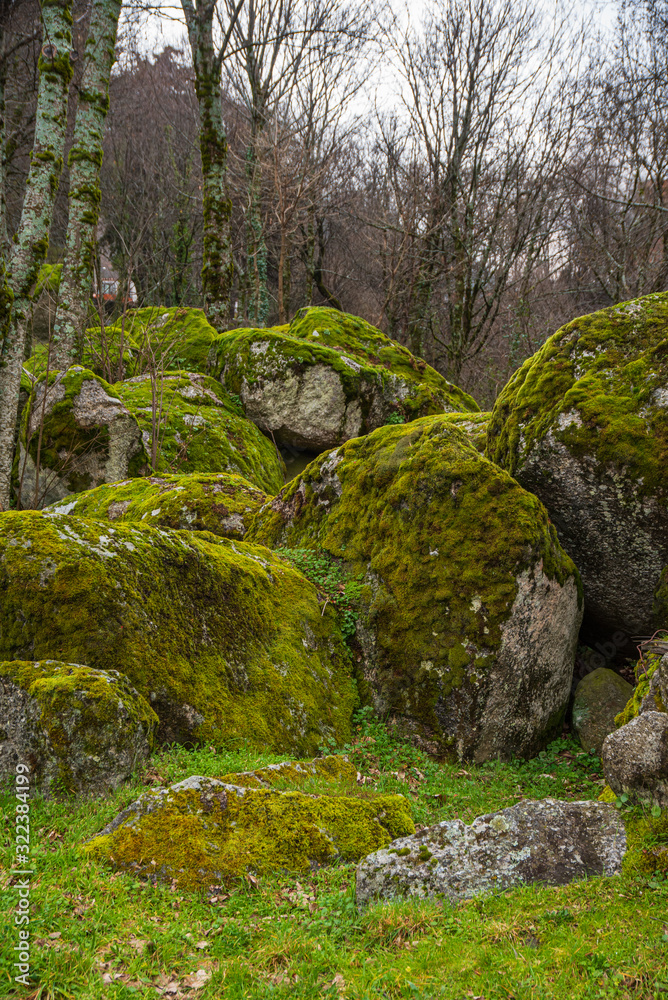 stones with green moss