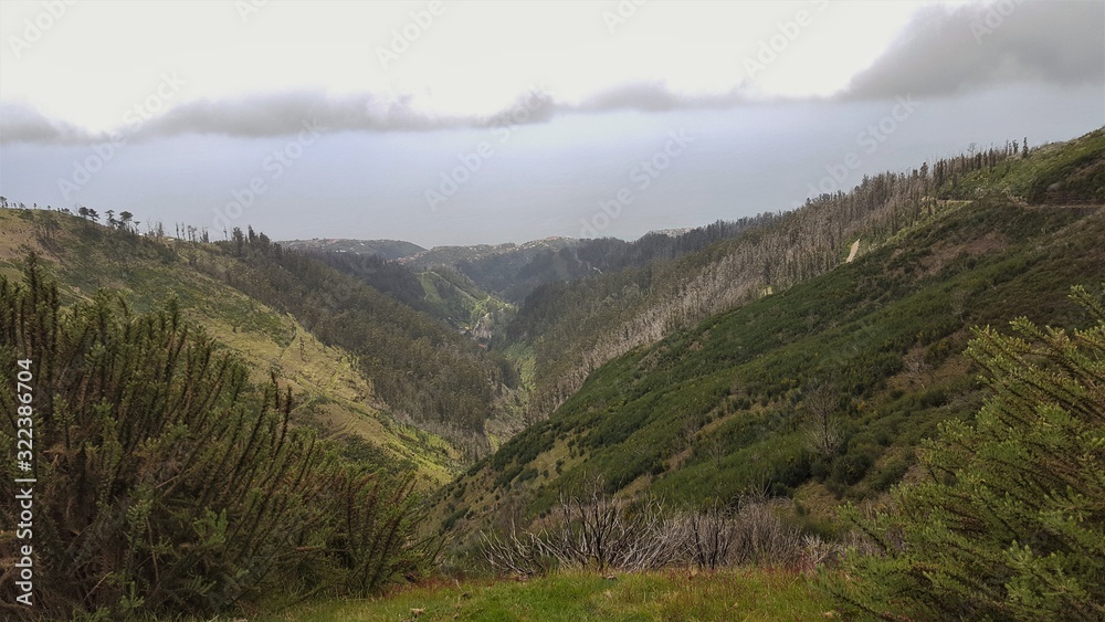Naklejka premium Madère, vallée de Carvalhal