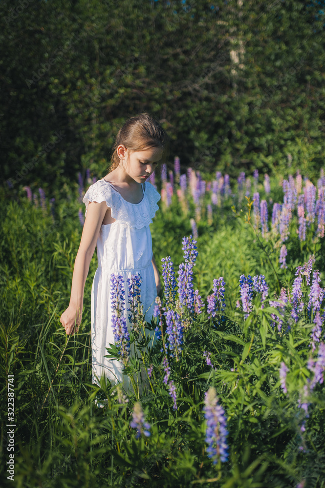Lovely girl in a white dress in a field of flowers Lovely girl in a white dress in a field of flowers