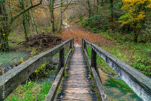 Old wooden bridge in a park at late fall. View in perspective.
