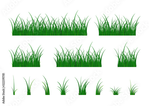 Grass nature collection. Herbaceous plants. Design elements isolated on white background. Vector