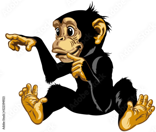 Cartoon chimp great ape or chimpanzee monkey touching or pointing to something with finger.  Positive and happy emotion. Sitting pose. Isolated vector illustration