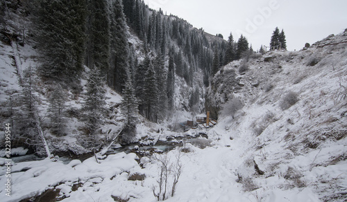 snowy frozen coniferous forest in the mountains in winter