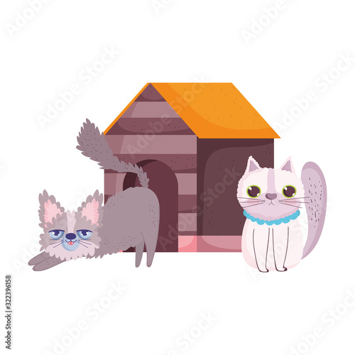 cats feline cartoon with wooden house pets