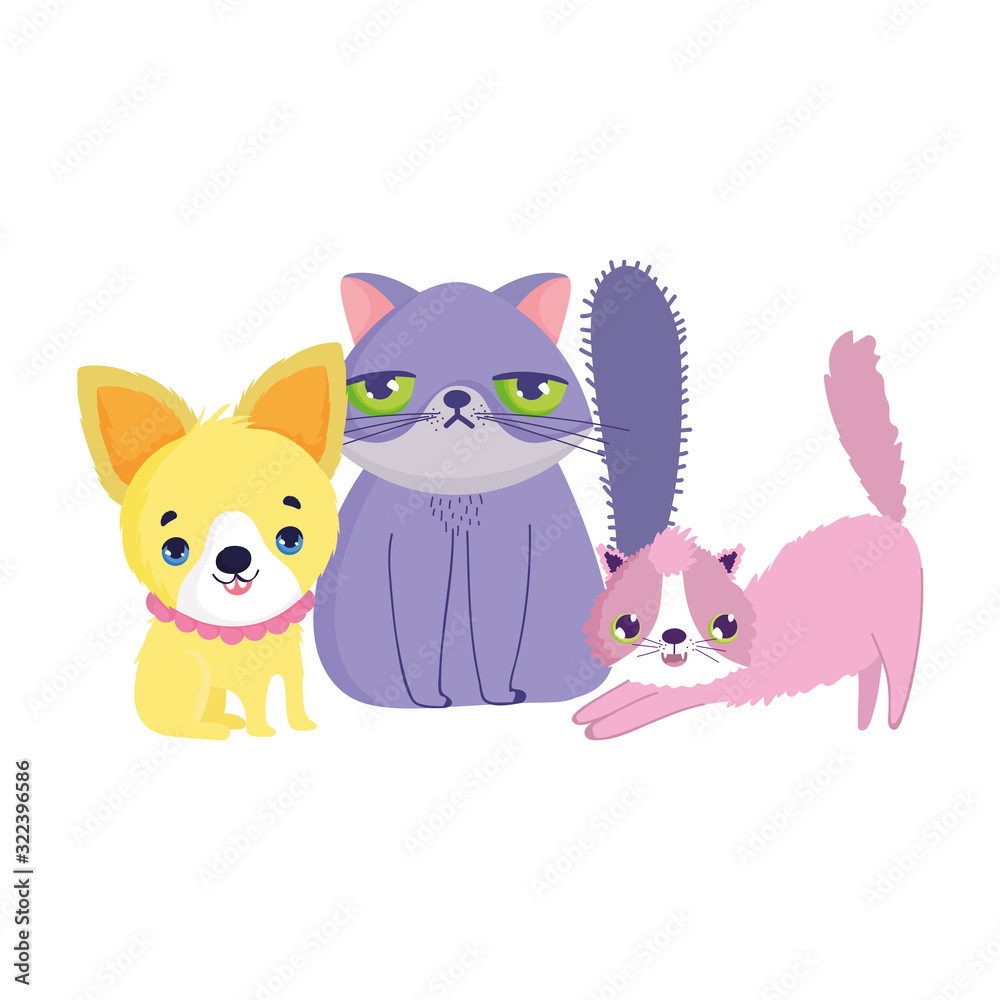 little puppy and cats feline canine cartoon pets little puppy and cats feline canine cartoon pets