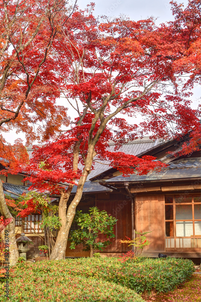 宝厳院の紅葉 宝厳院の紅葉