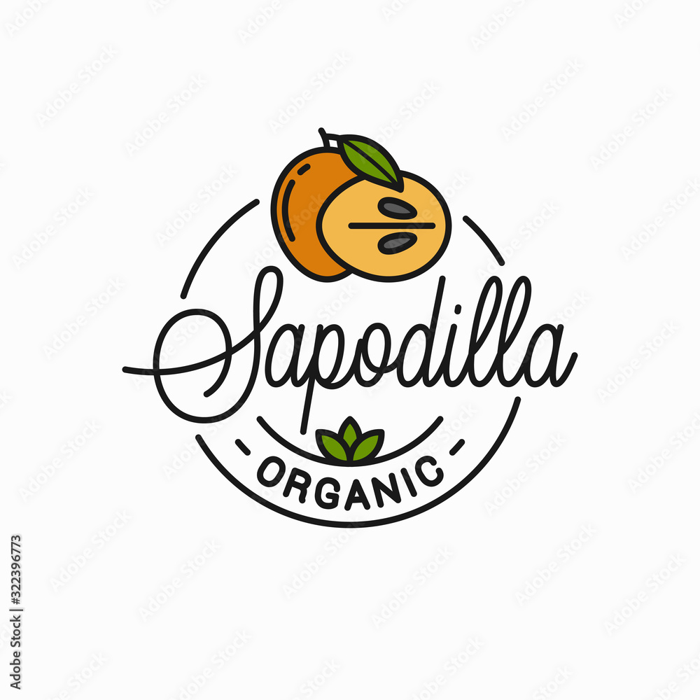Sapodilla fruit logo. Round linear of slice Sapodilla fruit logo. Round linear of slice