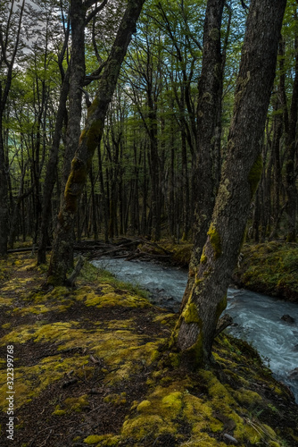 Río Huemul © pedro