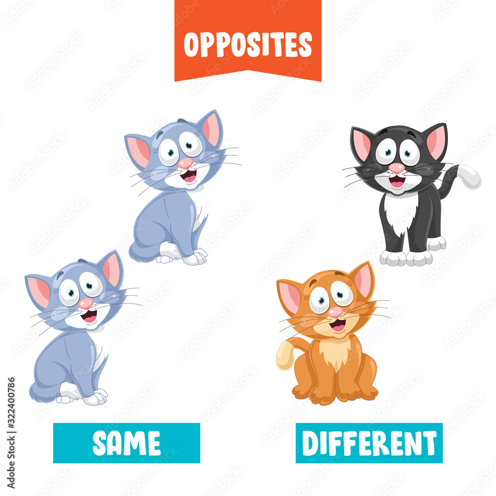 Opposite Adjectives With Cartoon Drawings Opposite Adjectives With Cartoon Drawings