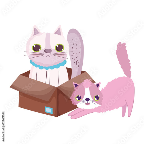 stretching cat and other in the box cartoon pets