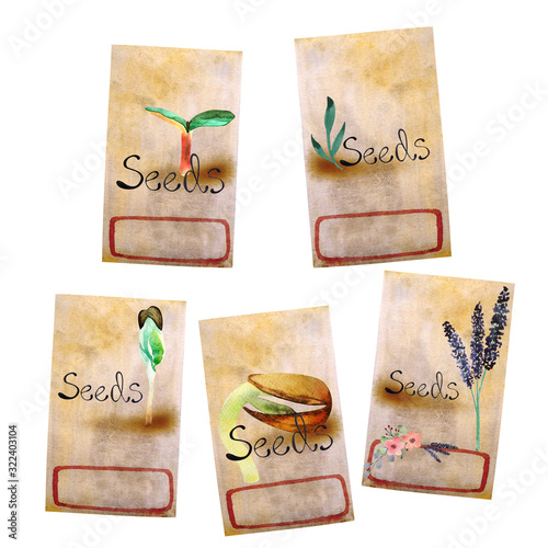 Watercolor packs for seeds of different design isolated on white background. Watercolor painted seed packs, vintage seed labels, garden items.