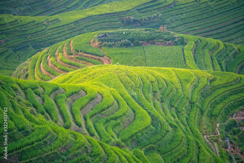 View of the cascading Longji Rice Terraces © Pav-Pro Photography 