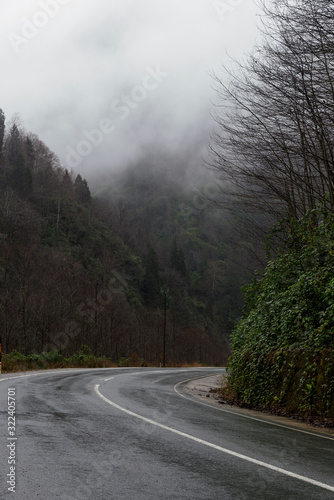 Bending wet road among the hills.