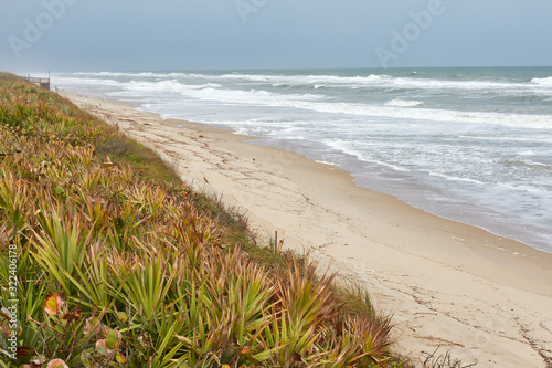 View of the beach at Cape Canaveral National Seashore, located in Brevard county, Florida photo
