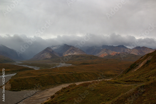Landscape of Denali National Park