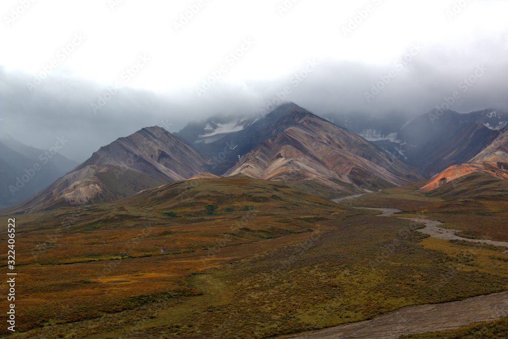 Landscape of Denali National Park Landscape of Denali National Park