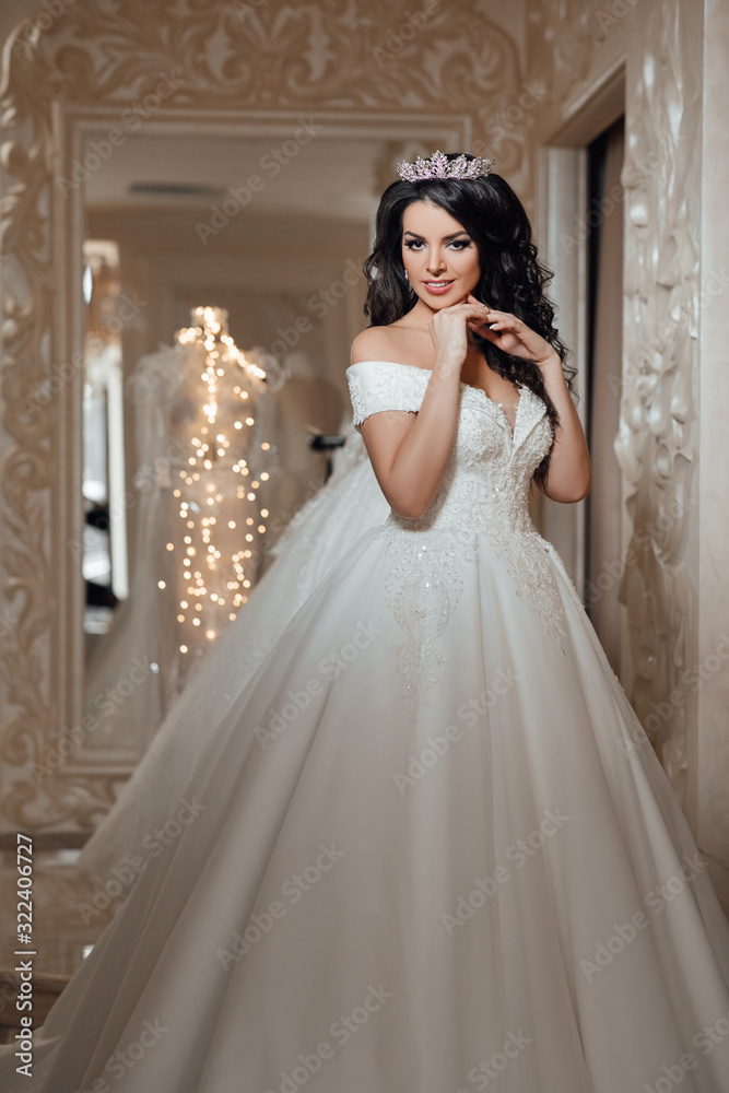 Beautiful bride is trying on an elegant wedding dress in modern wedding salon. Beautiful and fashion bride with glamour makeup and hairstyle Beautiful bride is trying on an elegant wedding dress in modern wedding salon. Beautiful and fashion bride with glamour makeup and hairstyle