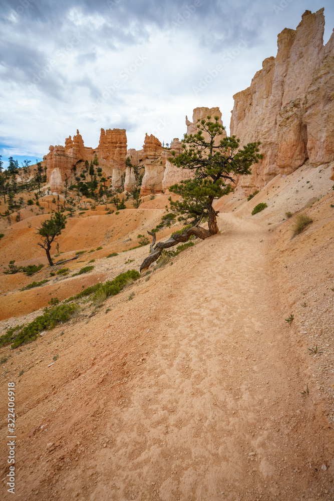 hiking the fairyland loop trail in bryce canyon national park, utah, usa
