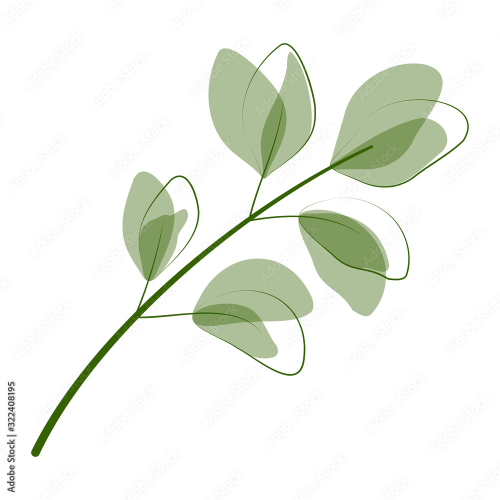 Beautiful  leaves isolated on white background.  Vector illustration. EPS 10 - obrazy, fototapety, plakaty 