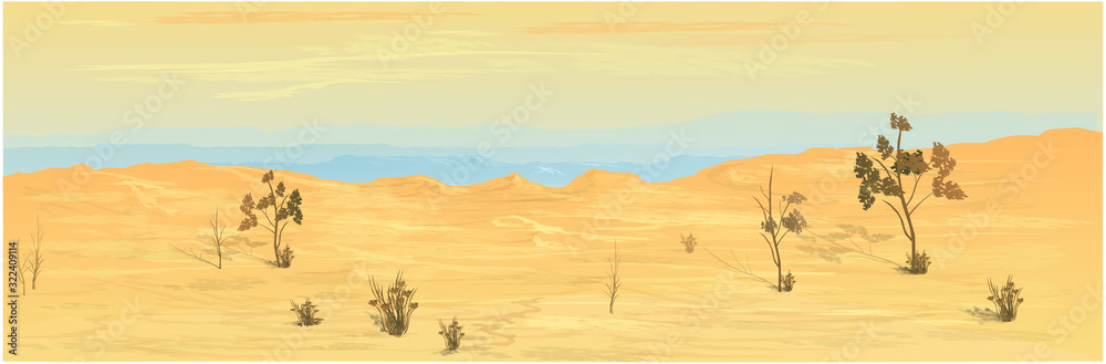 Fototapeta premium Texas Desert Background Image. Vector graphics.