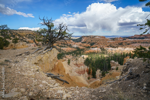 hiking the rim trail in bryce canyon national park, utah, usa