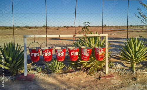 Plants at buckets for fire extinction, Orange river area, Namibia