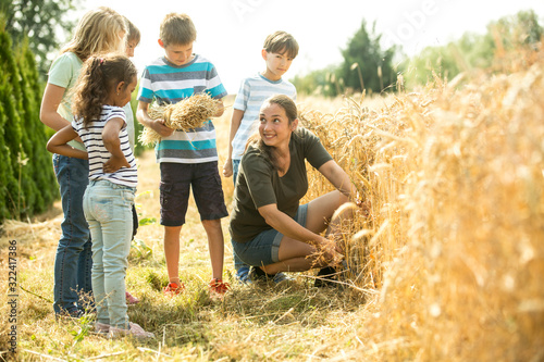 Children examining wheat field with their teacher