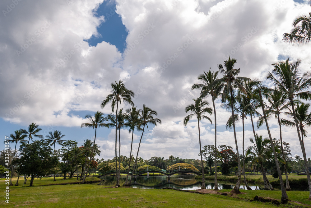Hilo, Hawaii, USA. - January 9, 2012: Wide view of green park with palm trees and bridge over Waiakea Pond under white cloudscape with blue patches. 