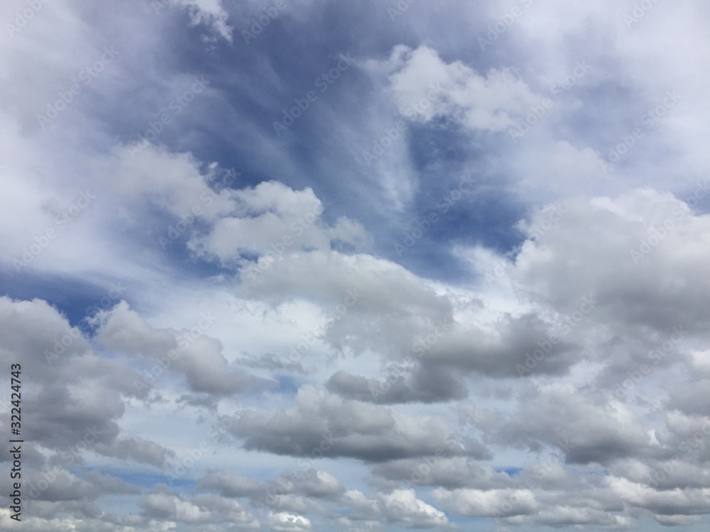 Fototapeta premium 空