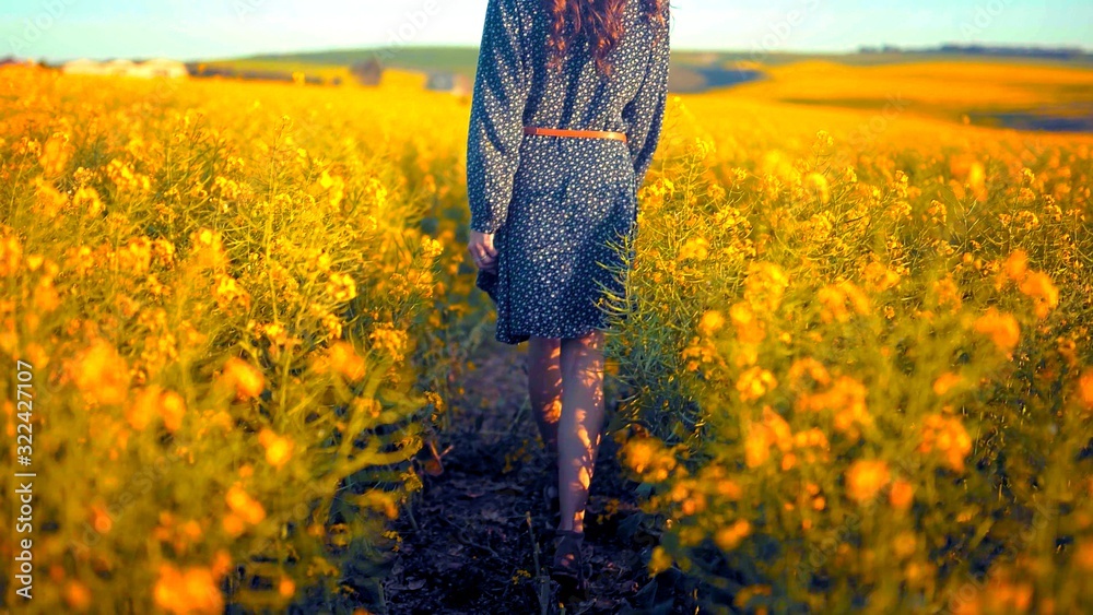 Jeune femme de dos qui marche dans un champs de fleurs jaunes Stock Photo |  Adobe Stock
