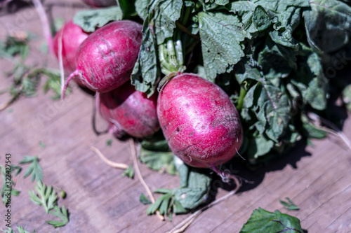 Freshly harvested Red Radish in the local market