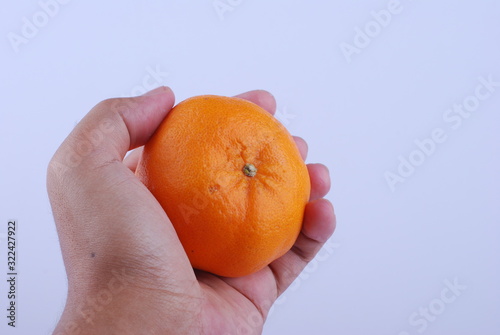 hand hold mandarines orange isolated on white background