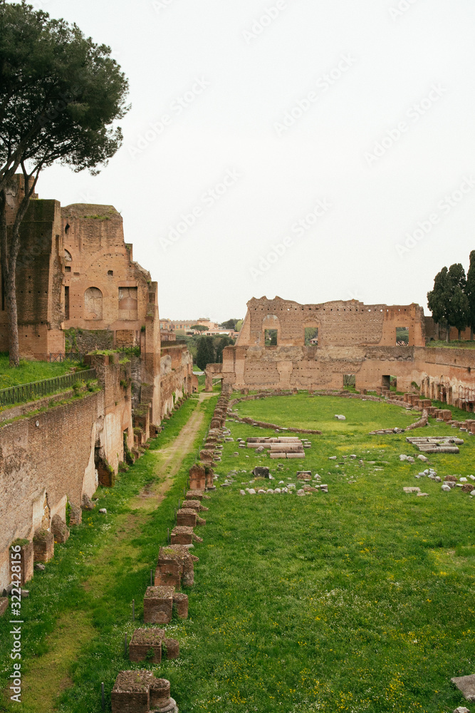 Forum of Caesar in Rome // Foro di Cesare