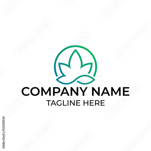 Modern and simple logo design for cannabis leaves